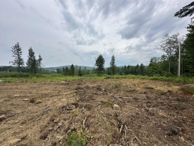 Here is your once in a lifetime chance to own frontage on what's on Wilson Lake Country Club in Maine - for sale on GolfHomes.com, golf home, golf lot