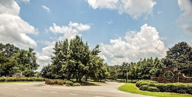 Build Your Dream Home in a Premier Lakefront  Golf Community on The Links At Stoney Point in South Carolina - for sale on GolfHomes.com, golf home, golf lot