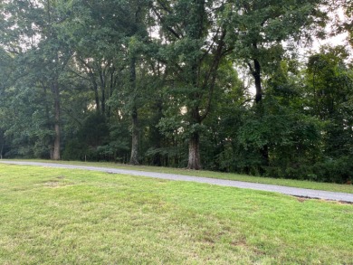 Three beautiful wooded adjoining lots (lots 3, 4, 5) on Hole 5 on Cherokee Village South Course in Arkansas - for sale on GolfHomes.com, golf home, golf lot