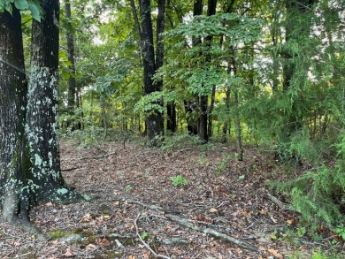 Three beautiful wooded adjoining lots (lots 3, 4, 5) on Hole 5 on Cherokee Village South Course in Arkansas - for sale on GolfHomes.com, golf home, golf lot