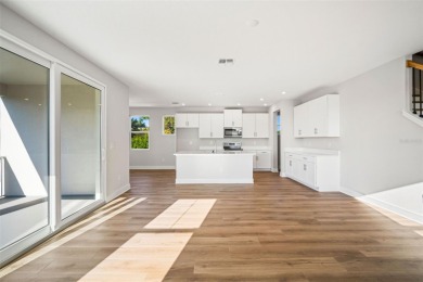 FLOOD RESISTANT HOME - 2025 Domain Homes - Builder Closing Costs on Mangrove Bay Golf Course in Florida - for sale on GolfHomes.com, golf home, golf lot