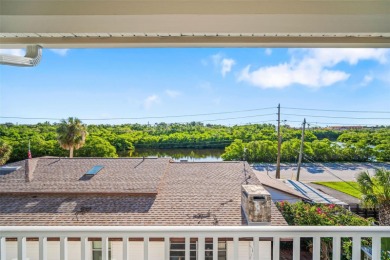 FLOOD RESISTANT HOME - 2025 Domain Homes - Builder Closing Costs on Mangrove Bay Golf Course in Florida - for sale on GolfHomes.com, golf home, golf lot
