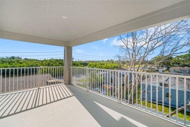 FLOOD RESISTANT HOME - 2025 Domain Homes - Builder Closing Costs on Mangrove Bay Golf Course in Florida - for sale on GolfHomes.com, golf home, golf lot