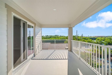 FLOOD RESISTANT HOME - 2025 Domain Homes - Builder Closing Costs on Mangrove Bay Golf Course in Florida - for sale on GolfHomes.com, golf home, golf lot