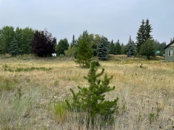 Great location on this easy to build lot in Lick Creek Meadows on McCall Municipal Golf Course in Idaho - for sale on GolfHomes.com, golf home, golf lot