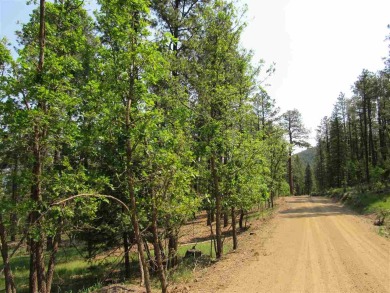 Three Contiguous Lots With Over 1.66 Acres Have Recently Been on Pendaries Village Community Assoc. in New Mexico - for sale on GolfHomes.com, golf home, golf lot