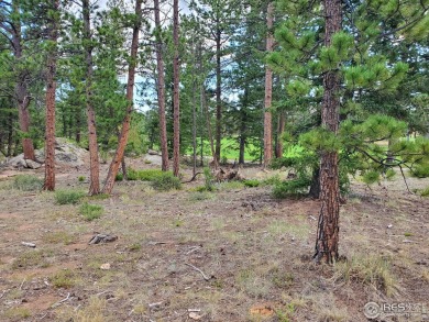 LOT 91: In Gated Fox Acres Com. w/13 Lakes/Ponds on 460 Acres on Fox Acres Country Club in Colorado - for sale on GolfHomes.com, golf home, golf lot