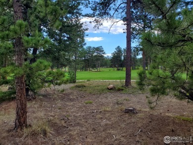 LOT 91: In Gated Fox Acres Com. w/13 Lakes/Ponds on 460 Acres on Fox Acres Country Club in Colorado - for sale on GolfHomes.com, golf home, golf lot