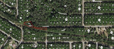 Citrus Springs building site! Located in a quiet neighborhood on Citrus Springs Country Club in Florida - for sale on GolfHomes.com, golf home, golf lot