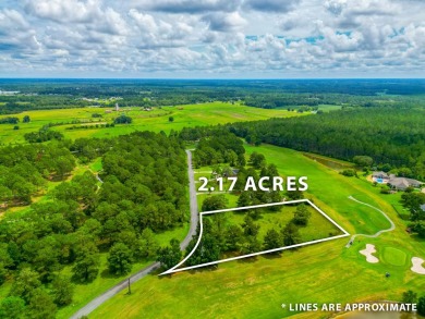 Build your dream home here! Two lots combined on Blueberry on Blueberry Plantation Golf and Country Club in Georgia - for sale on GolfHomes.com, golf home, golf lot