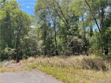 Citrus Springs building site! Located in a quiet neighborhood on Citrus Springs Country Club in Florida - for sale on GolfHomes.com, golf home, golf lot