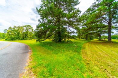 Build your dream home here! Two lots combined on Blueberry on Blueberry Plantation Golf and Country Club in Georgia - for sale on GolfHomes.com, golf home, golf lot