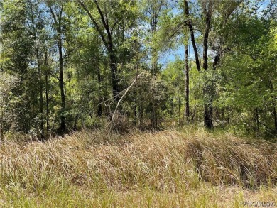 Citrus Springs building site! Located in a quiet neighborhood on Citrus Springs Country Club in Florida - for sale on GolfHomes.com, golf home, golf lot