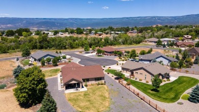 Discover this well-maintained, new construction home offering on Cedaredge Golf Course in Colorado - for sale on GolfHomes.com, golf home, golf lot