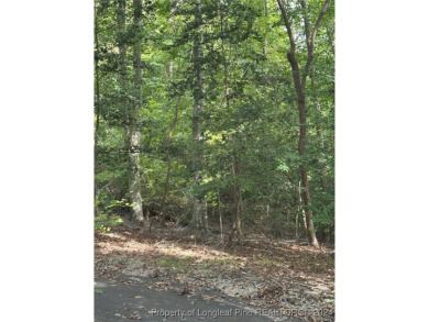 Discover the perfect opportunity to build your dream home on on Carolina Trace Country Club in North Carolina - for sale on GolfHomes.com, golf home, golf lot
