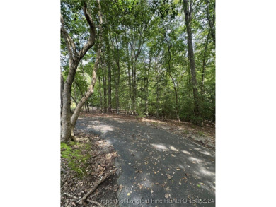 Discover the perfect opportunity to build your dream home on on Carolina Trace Country Club in North Carolina - for sale on GolfHomes.com, golf home, golf lot