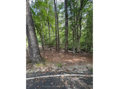 Discover the perfect opportunity to build your dream home on on Carolina Trace Country Club in North Carolina - for sale on GolfHomes.com, golf home, golf lot