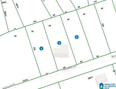 Welcome to Million Dollar Lakes. This 3-bedroom, 1.5-bath home on Lakeview Country Club in Alabama - for sale on GolfHomes.com, golf home, golf lot