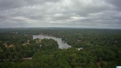 Welcome to Million Dollar Lakes. This 3-bedroom, 1.5-bath home on Lakeview Country Club in Alabama - for sale on GolfHomes.com, golf home, golf lot