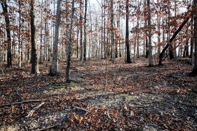 Beautiful, perc tested lot in the heart of Bella Vista. Build on Bella Vista - Metfield Golf Complex and Country Club in Arkansas - for sale on GolfHomes.com, golf home, golf lot