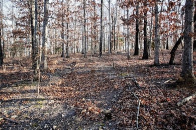 Beautiful, perc tested lot in the heart of Bella Vista. Build on Bella Vista - Metfield Golf Complex and Country Club in Arkansas - for sale on GolfHomes.com, golf home, golf lot
