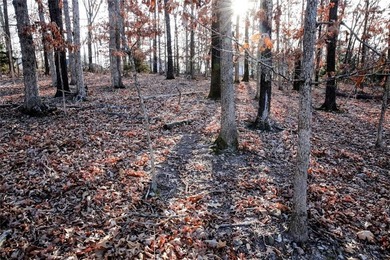 Beautiful, perc tested lot in the heart of Bella Vista. Build on Bella Vista - Metfield Golf Complex and Country Club in Arkansas - for sale on GolfHomes.com, golf home, golf lot