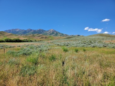 A unique offering with 40 acres and 360 degree views at the base on Soldier Mt. Ranch and Resort in Idaho - for sale on GolfHomes.com, golf home, golf lot