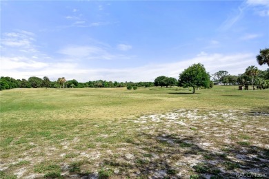 Offering a prime investment opportunity is a fully operational on Point O Woods Golf Club in Florida - for sale on GolfHomes.com, golf home, golf lot