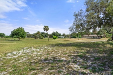 Offering a prime investment opportunity is a fully operational on Point O Woods Golf Club in Florida - for sale on GolfHomes.com, golf home, golf lot