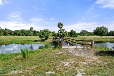 Offering a prime investment opportunity is a fully operational on Point O Woods Golf Club in Florida - for sale on GolfHomes.com, golf home, golf lot