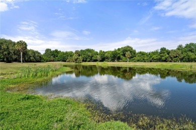 Offering a prime investment opportunity is a fully operational on Point O Woods Golf Club in Florida - for sale on GolfHomes.com, golf home, golf lot