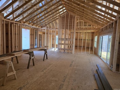 New Construction -- Modern Luxury in Hot Springs Village East on Isabella Golf Course  in Arkansas - for sale on GolfHomes.com, golf home, golf lot