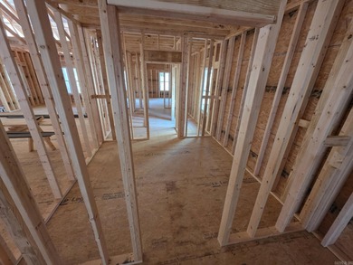 New Construction -- Modern Luxury in Hot Springs Village East on Isabella Golf Course  in Arkansas - for sale on GolfHomes.com, golf home, golf lot