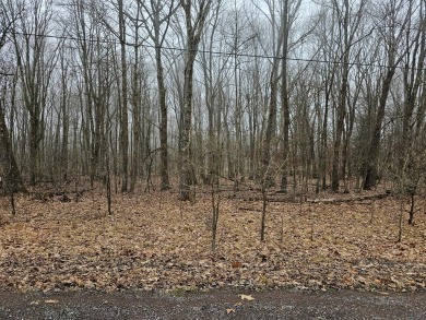 Level and wooded lot. This lot is a good opportunity to acquire on Indian Lake Golf Club in Pennsylvania - for sale on GolfHomes.com, golf home, golf lot