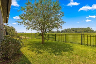 This exquisite 4/2/2 can be your home with the absolute best on Stone Creek Golf Club in Florida - for sale on GolfHomes.com, golf home, golf lot