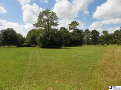 We present to you a rare and magnificent .75 acre lot - one of on Country Club of South Carolina in South Carolina - for sale on GolfHomes.com, golf home, golf lot