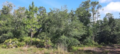 Come build your forever home on this one acre parcel consisting on Indian Lake Estates Golf and Country Club in Florida - for sale on GolfHomes.com, golf home, golf lot