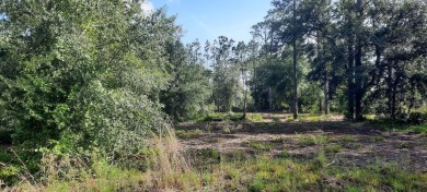 Come build your forever home on this one acre parcel consisting on Indian Lake Estates Golf and Country Club in Florida - for sale on GolfHomes.com, golf home, golf lot