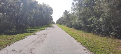 Come build your forever home on this one acre parcel consisting on Indian Lake Estates Golf and Country Club in Florida - for sale on GolfHomes.com, golf home, golf lot
