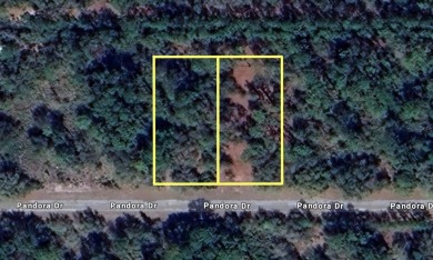 Come build your forever home on this one acre parcel consisting on Indian Lake Estates Golf and Country Club in Florida - for sale on GolfHomes.com, golf home, golf lot