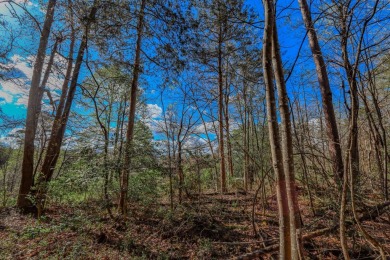 Prime building lot near highly desirable Golf Course just on Smoky Mountain Country Club in Tennessee - for sale on GolfHomes.com, golf home, golf lot