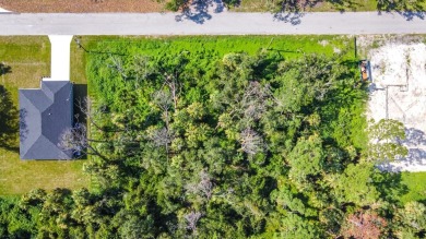 Just hitting the market, property for sale at 18186 Sinatra on Bobcat Trail Golf Club in Florida - for sale on GolfHomes.com, golf home, golf lot