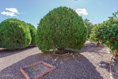 Welcome to this charming home in Sun City with 2 bedrooms 2 on Sun City-Willow Creek / Willow Brook  in Arizona - for sale on GolfHomes.com, golf home, golf lot