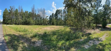 Beautiful .62-acre corner lot in the desirable Isabella Golf on Isabella Golf Course  in Arkansas - for sale on GolfHomes.com, golf home, golf lot