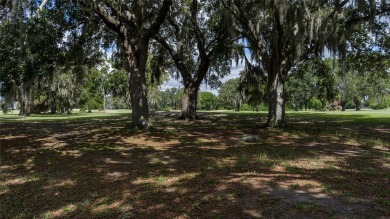 Great New Price! Nestled in the sought-after Bloomingdale on Bloomingdale Golfers Club in Florida - for sale on GolfHomes.com, golf home, golf lot