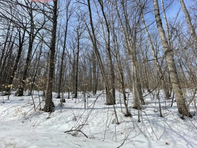 Enjoy everything Michaywe has to offer. With deeded access to on Mountain Lake Golf Club in Michigan - for sale on GolfHomes.com, golf home, golf lot