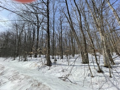 Enjoy everything Michaywe has to offer. With deeded access to on Mountain Lake Golf Club in Michigan - for sale on GolfHomes.com, golf home, golf lot