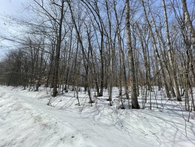Enjoy everything Michaywe has to offer. With deeded access to on Mountain Lake Golf Club in Michigan - for sale on GolfHomes.com, golf home, golf lot