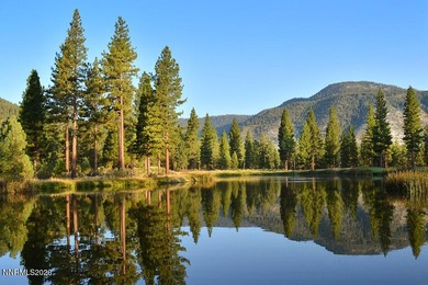 At almost 3/4 of an acre, this very level property (ideal for on Clear Creek Tahoe in Nevada - for sale on GolfHomes.com, golf home, golf lot