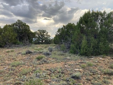 Easy access .76 acre homesite in Black Diamond Park gated on Walsenburg Golf Club in Colorado - for sale on GolfHomes.com, golf home, golf lot